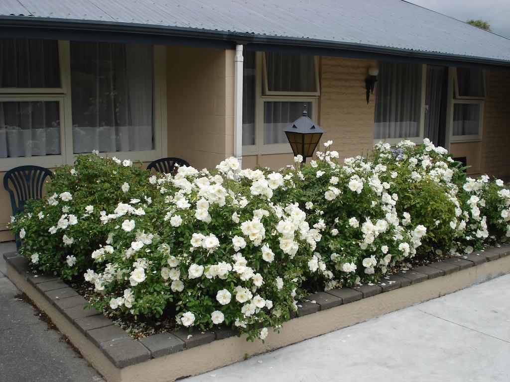 Hagley Park Motel 크라이스트처치 외부 사진